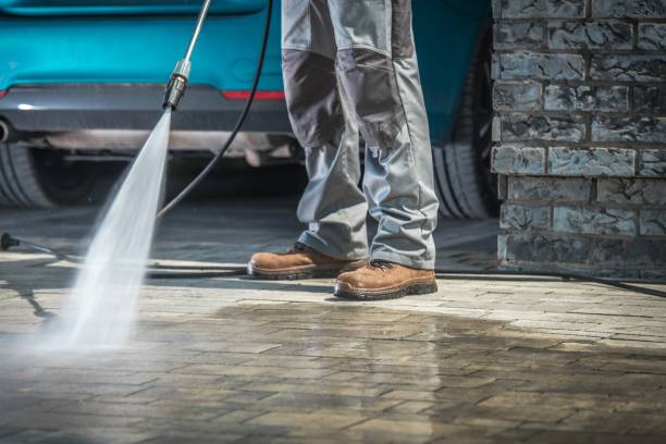 Best Pre-Holiday Cleaning  in Barnum Island, NY